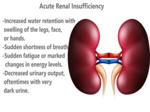 acute renal insufficiency